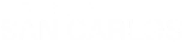 Disfruta San Carlos logo